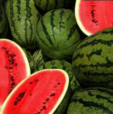 Water Melon F1 Aalam Daksh 55 - Fruit Seeds