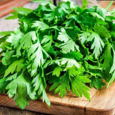 Coriander Imported - Herb Seeds