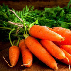 Carrot Early Nantus - Desi Vegetable Seeds
