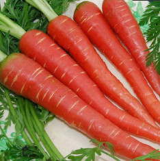 Carrot Red Long - Desi Vegetable Seeds