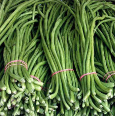Lobia Beans - Desi Vegetable Seeds