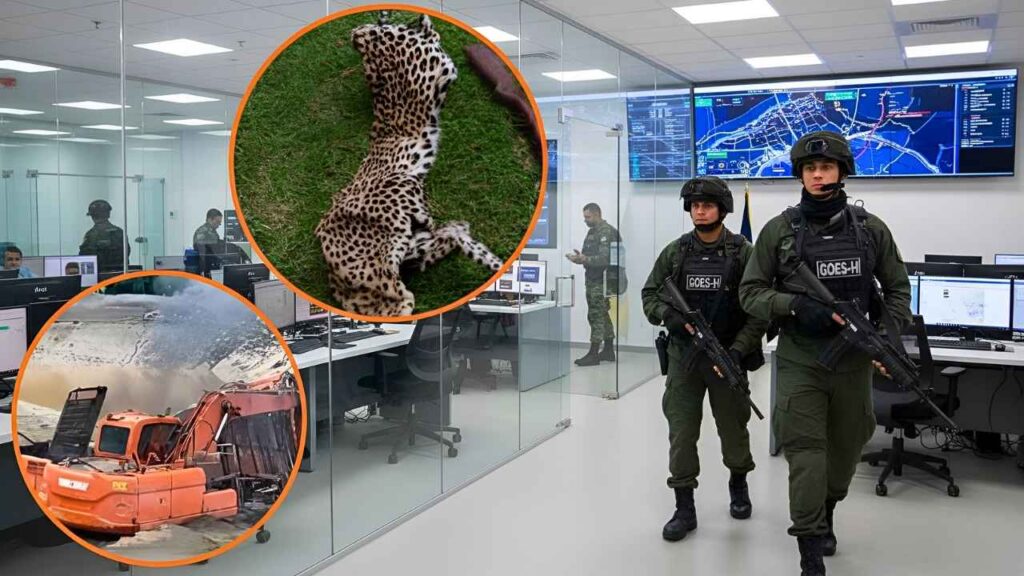 Operación criminal en lo profundo del bosque: autoridades anuncian medidas contundentes