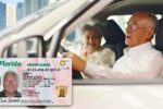 Licencias de conducir en EE.UU.: cambios clave para mayores de 70 años en 2026
